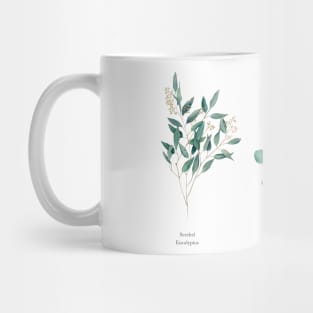 Three types of eucalyptus Mug